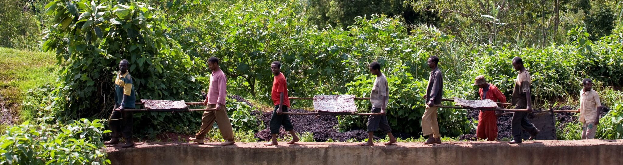 Meilleur café en grain