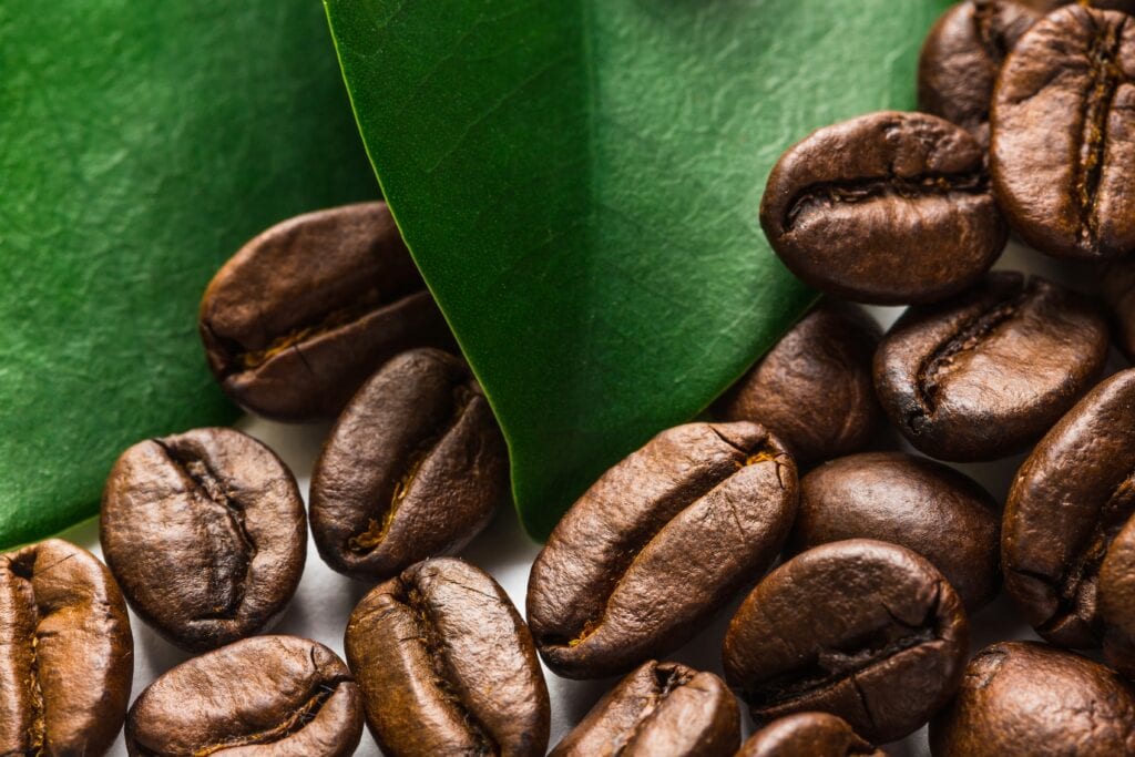 Meilleur café en grain